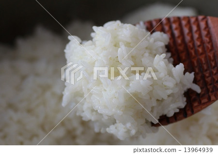 用高壓鍋煮熟的黃金胚芽米製成的新鮮米飯，配以木製飯勺 13964939