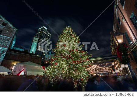 Christmas celebration Christmas celebration 13965408