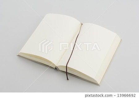 A blank book 13966692