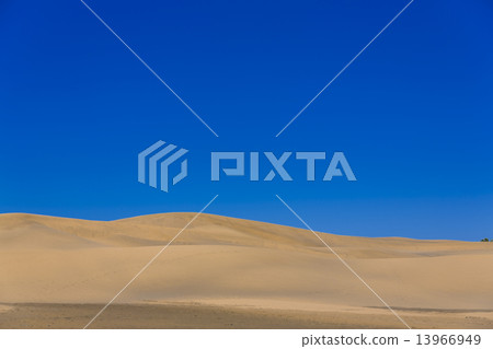 Maspalomas Duna - Desert in Canary island Gran Canaria 13966949