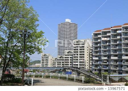 新城 新城 13967571