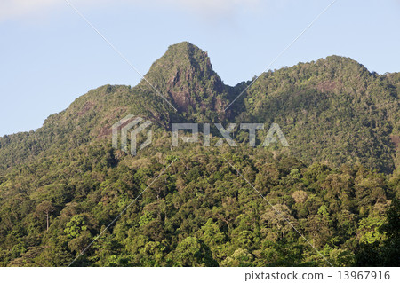 Khao Salak Phet 13967916