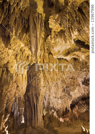 Carlsbad Caverns National Park 13967996