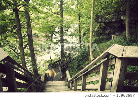 Tourist trail to Brandwine Falls Tourist trail to Brandwine Falls 13968697