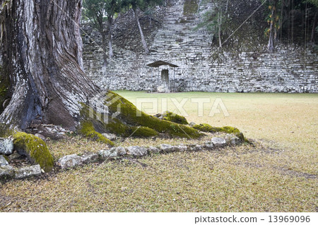 Copan 13969096