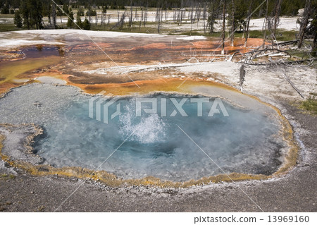 Boiling Water in Yellowstone Boiling Water in Yellowstone 13969160