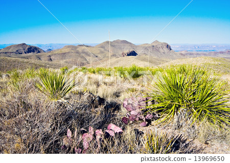 Landscape of Big Bend Landscape of Big Bend 13969650