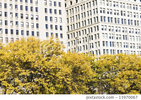 Autumn in Chicago 13970067