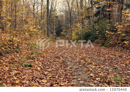 Fall in Wisconsin 13970448