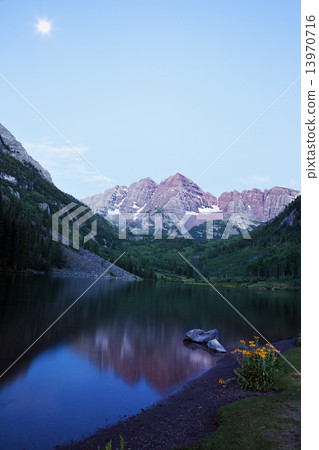 Yellow Flowers and Maroon Bells in the background. Seen before t Yellow Flowers and Maroon Bells in the background. Seen before t 13970716
