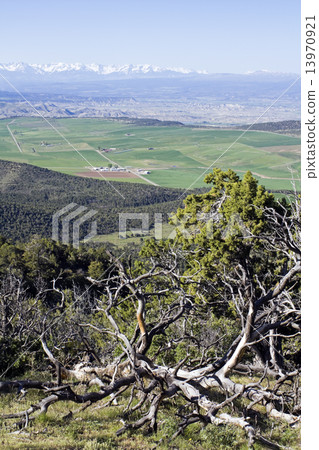 Colorado - Gunnison and Montrose area 13970921