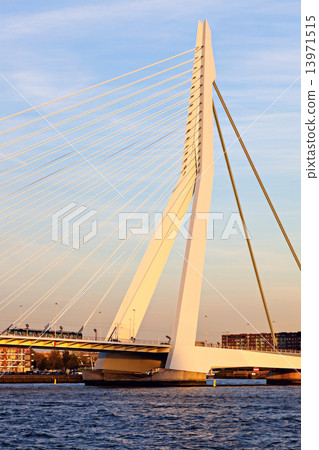 Erasmus Bridge 13971515