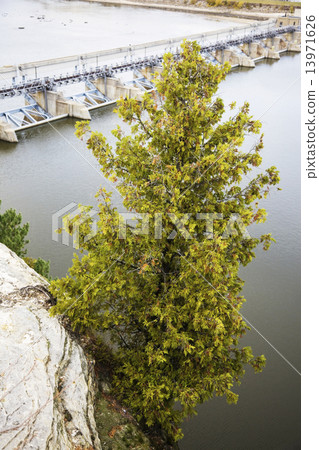 Tree hanging over abyss Tree hanging over abyss 13971626