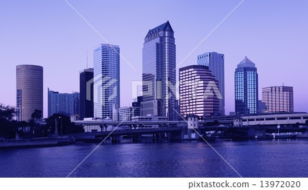 Tampa - twiglight 13972020