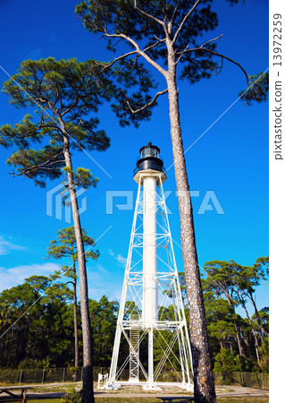 Cape San Blas Lighthouse Cape San Blas Lighthouse 13972259
