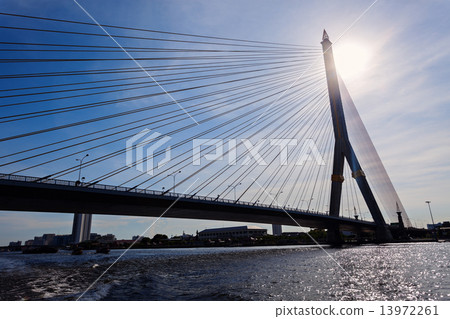 Rama VIII Bridge 13972261