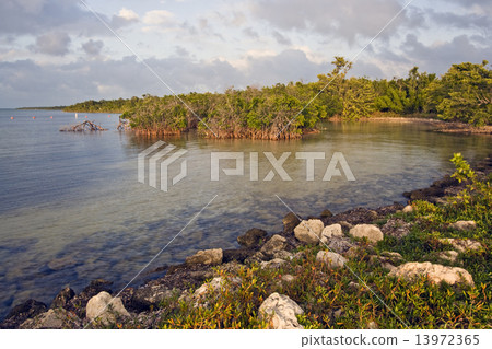 Biscayne National Park 13972365