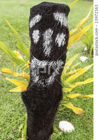 Face painted on the dead palm tree 13972563