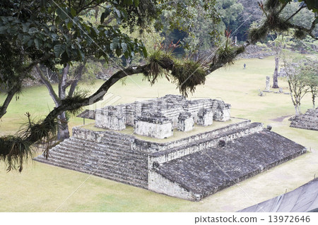 Wandering in Copan 13972646