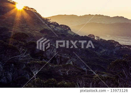 Sunrise in Mt Kosciuszko National Park Sunrise in Mt Kosciuszko National Park 13973126