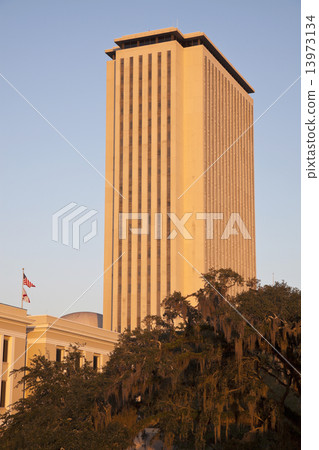 State Capitol Building in Tallahassee 13973134