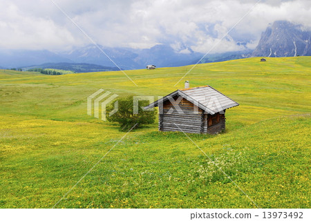 Alpe di Siusi alpe di siusi Zaiser alm seiser alm 13973492