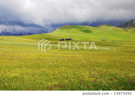Alpe di Siusi alpe di siusi Zaiser alm seiser alm 13973493