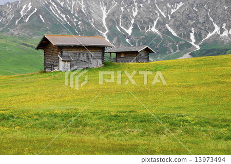 Alpe di Siusi alpe di siusi Zaiser alm seiser alm 13973494