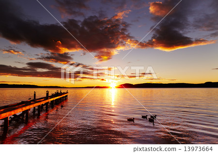 Lake Rotorua, New Zealand 13973664