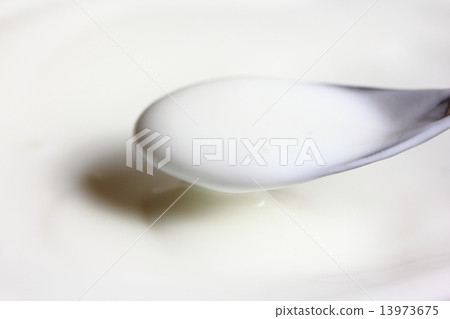 plain yogurt 13973675