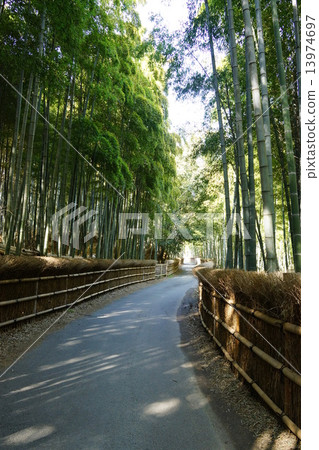 Takebayashi京都 13974697