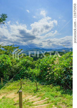 Kasugayama城堡廢墟風景在夏天 13975950