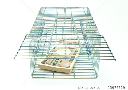 Bait for catching rats 1 million yen 13976519