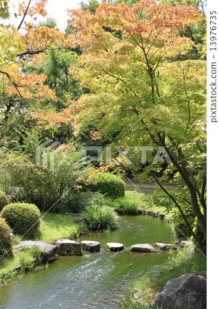 Koko-en公園 13976735