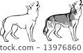 wolf howling - options 13976860