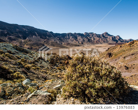 Desert landscape of Volcano Teide National Park 13976883