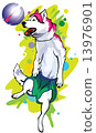 dog football 13976901
