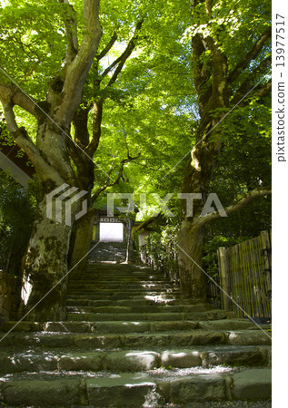 Shokoin 13977517