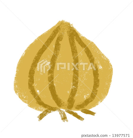 蔥 13977571