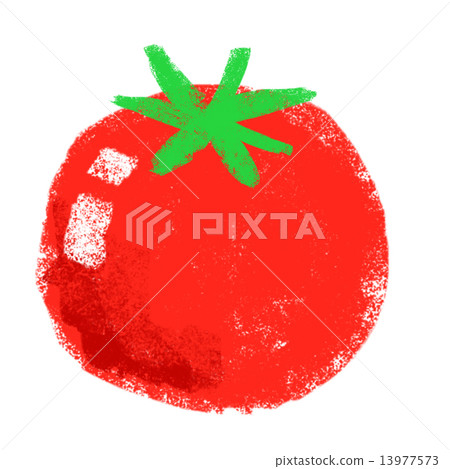 Tomato   13977573