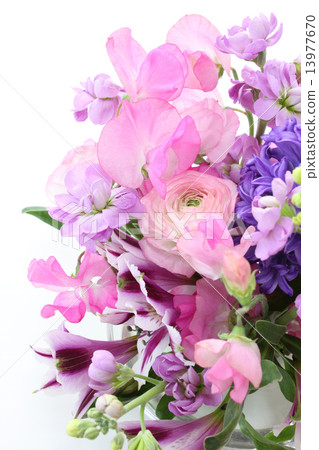 Purple hyacinth arrangement (vertical right half) 13977670