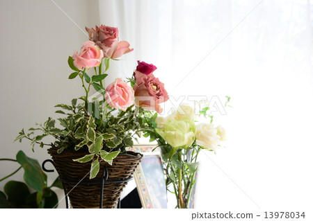 Rose room Rose room 13978034