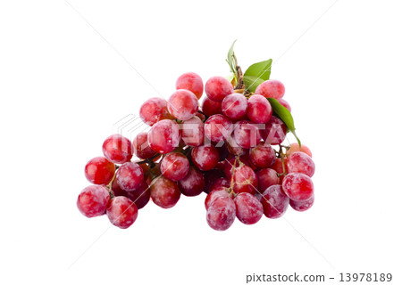 Red grape with leaf isolated on white background Red grape with leaf isolated on white background 13978189