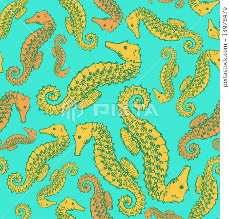 Sketch seahorse in vintage style Sketch seahorse in vintage style 13978479