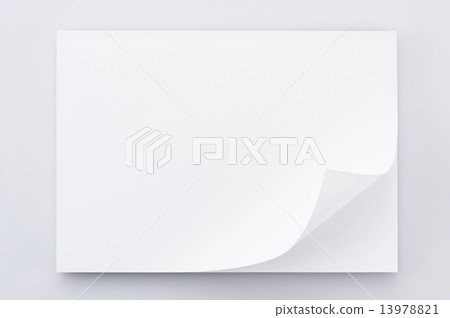 Curled paper 13978821