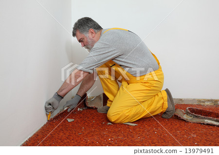 Home renovation, carpet remove 13979491