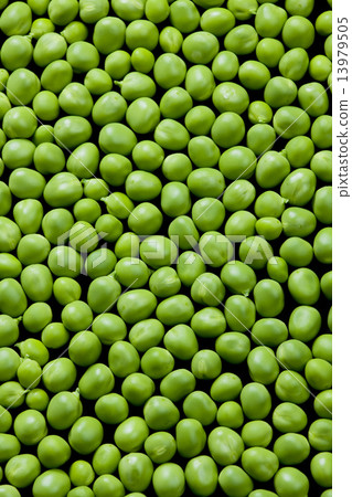 peas peas 13979505