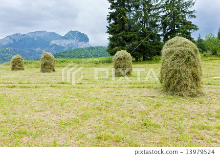 Belianske Tatry (Belianske Tatras), Slovakia 13979524