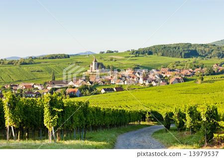 Hunawihr, Alsace, France Hunawihr, Alsace, France 13979537