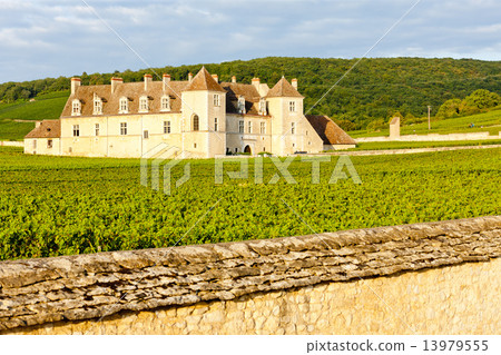 Clos Blanc De Vougeot Castle, Burgundy, France 13979555